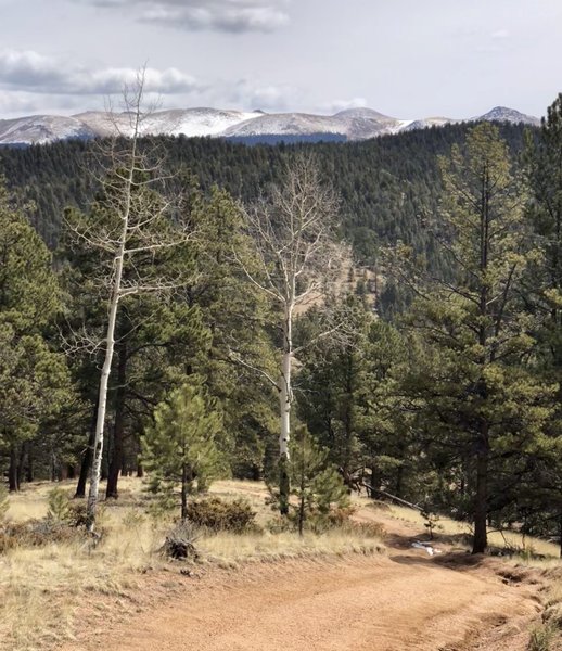 Looking east at Pikes Peak and Sentinel Point (far right)