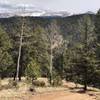 Looking east at Pikes Peak and Sentinel Point (far right)