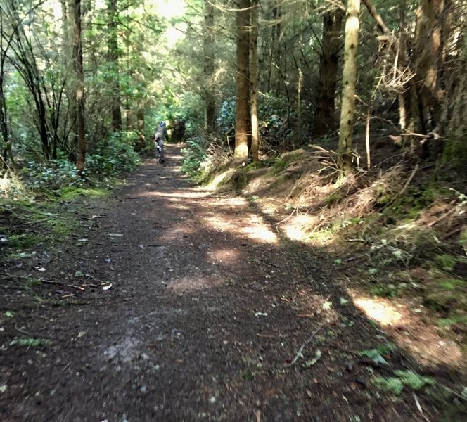 You may see bikers on the trail.