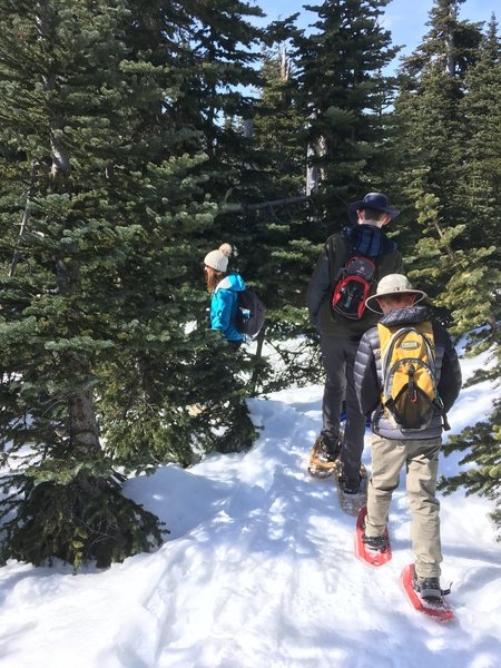 Snowshoeing along.