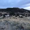 The white adobe buildings of the Heller Center