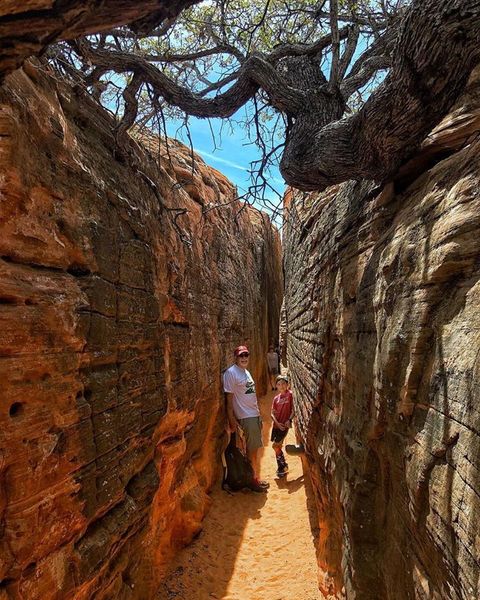 Hidden Petroglyphs and Slot Canyon