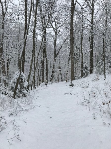 Late season snow in Mohegan Park