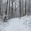 Late season snow in Mohegan Park