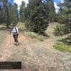 The junction of Black Bear and North Hay Creek trails