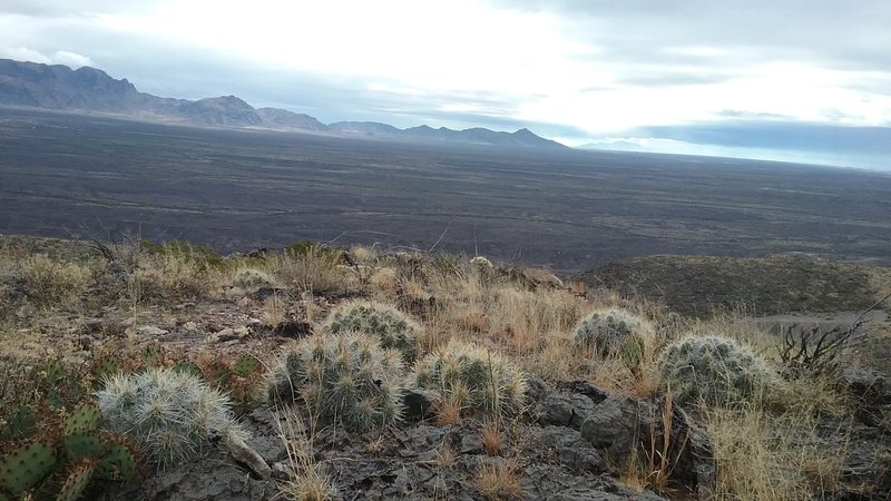 View on the top and Haystack cacti.