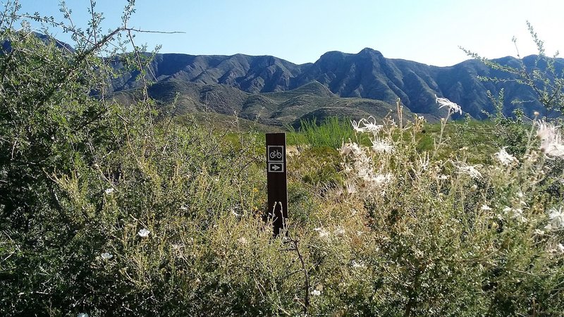 Looking east from the trail