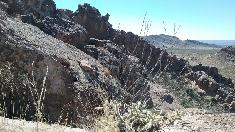 View from the top of the ridge.