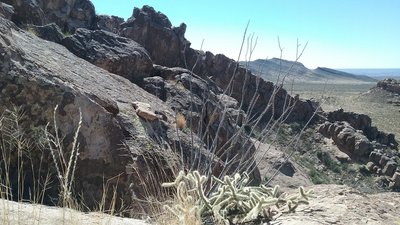 View from the top of the ridge.