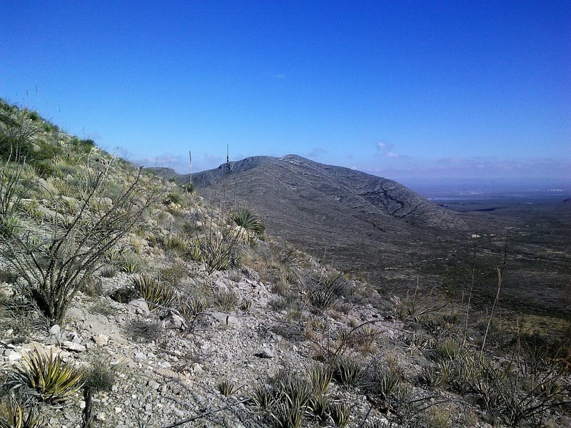 View of Hitt Canyon and Sacramento Mountains in background.