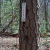 The park boundary is marked by a simple sign on a tree next to the trail. The trail continues on for a short distance to the road.