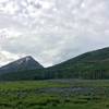 Looking north towards Gothic Mountain across meadows of Lupine and Corn Lilies.