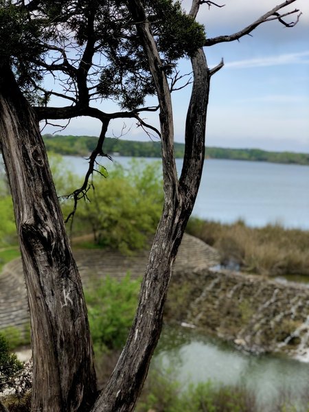 Overlooking the lake