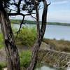 Overlooking the lake