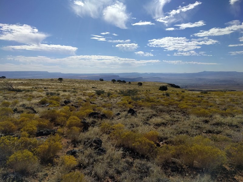 A better example of what much of the trail is like. No fast going since the rocks are hiding to trip you up. Neat views to the southeast though.