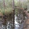 during rainy season this section of the Wilderness trail maybe flooded