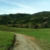 The historic village of New Almaden nestled in the wooded hills below, as seen from Almaden Trail. The Santa Cruz Mountains are on the left in the distance.