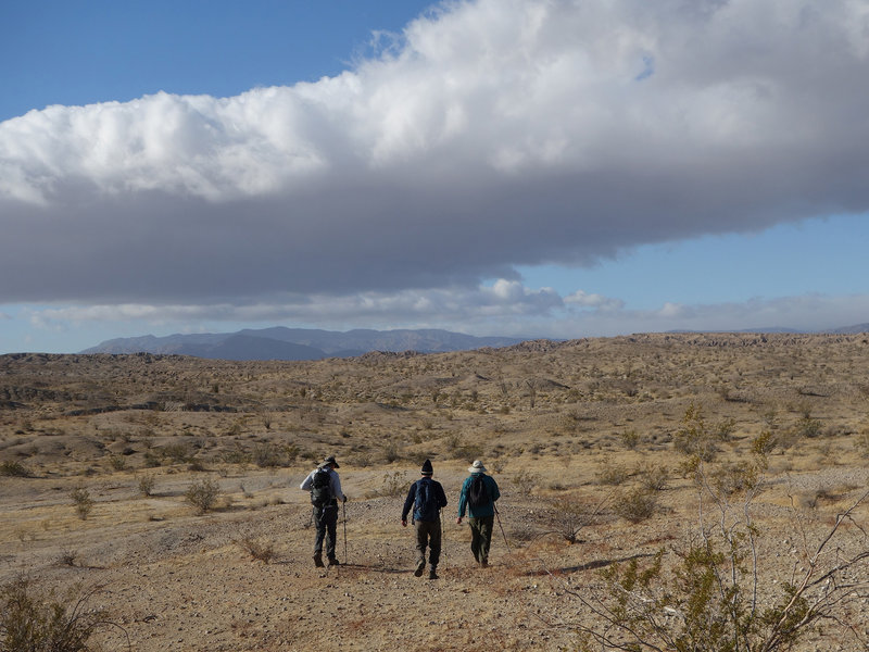 Hikers crossing the desert to Fonts Point.