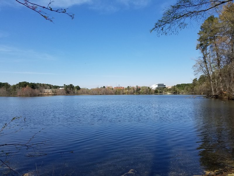 Great view of the Hunt Library.