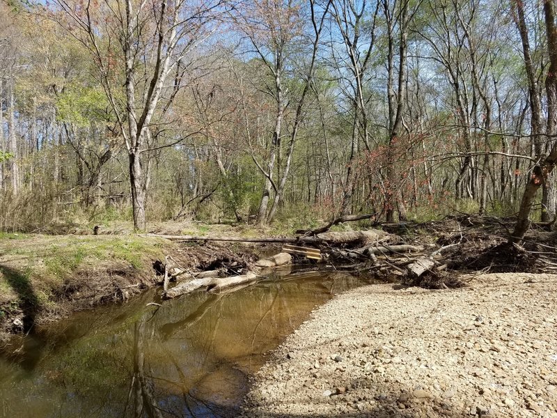 Lake Raleigh creek crossing.