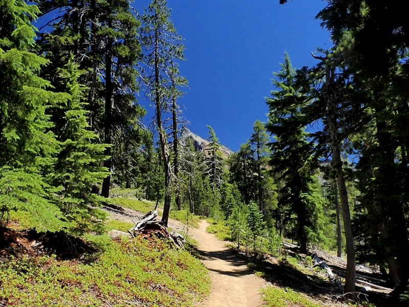 Mount Thielsen from the trail.