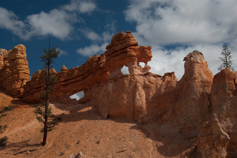 Some beautiful rock formations along the Mossy Cave trail