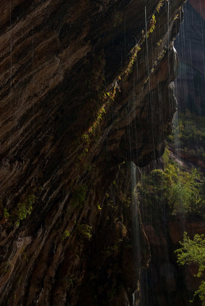 Weeping Rock is beautiful and easy to access by Zion standards