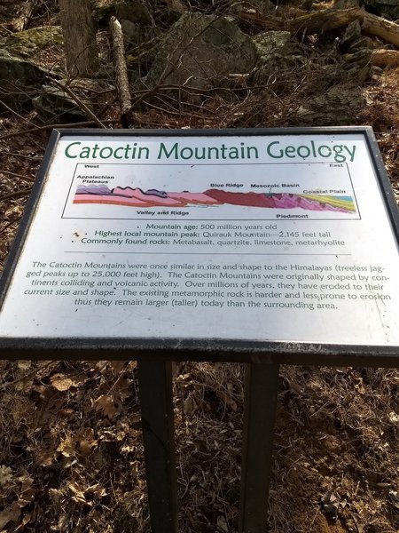 Interpretive signage along Lower Falls Trail