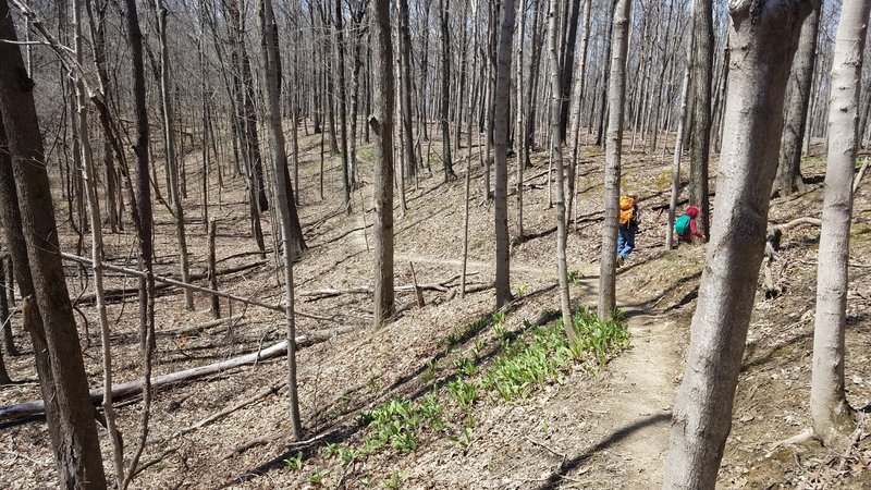 hiking with my 9 and 5yr old boys