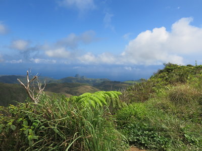View from the end of the trail