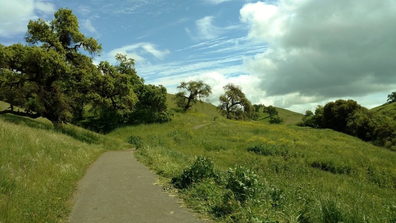 Willow Springs Trail heads into the oak-studded grass hills of Coyote Lake - Harvey Bear Ranch County Park.