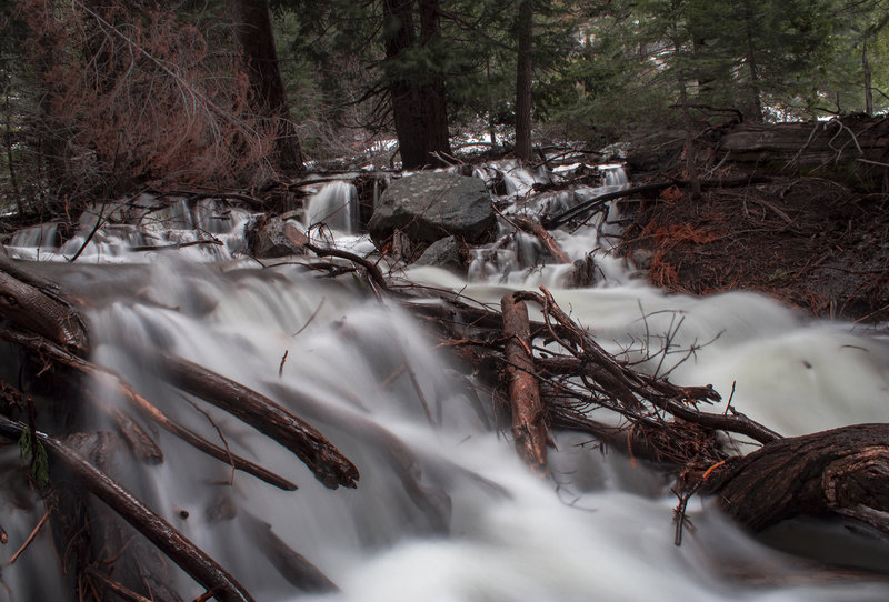 Stream crossings during extremely high water level period. Waterfall flowed down from Peak 8417 and flooded forest.