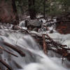 Stream crossings during extremely high water level period. Waterfall flowed down from Peak 8417 and flooded forest.