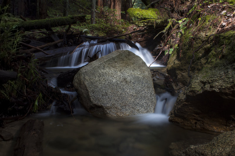 Fall nestled right off the trail