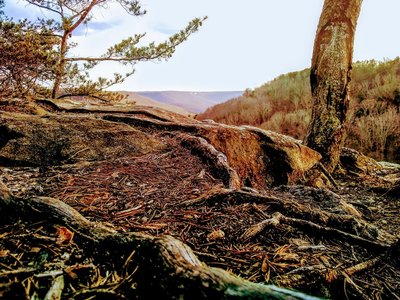 Small wilds campsite area