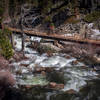 Eagle Creek just before Upper Eagle Falls, showing bridge over Eagle Creek. Went off trail for this shot.