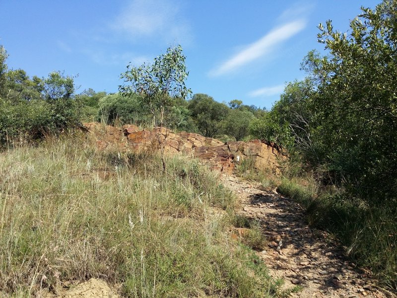 A view of the starting ascent on the Zebra trail.