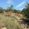 A view of the starting ascent on the Zebra trail.