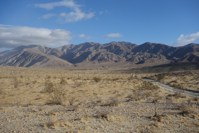 View north of the Thimble Trail / vehicle track