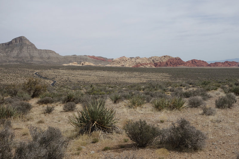 View east from the White Rock Loop trail with Turtlehead Mountain at the left