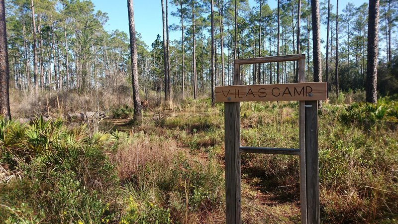 Several primitive camps well indicated along the trail. They feature a clearing for the tent, a fire ring and a bench. Well done!