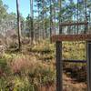 Several primitive camps well indicated along the trail. They feature a clearing for the tent, a fire ring and a bench. Well done!