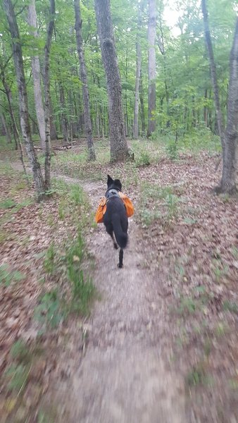 Cuivre River State Park