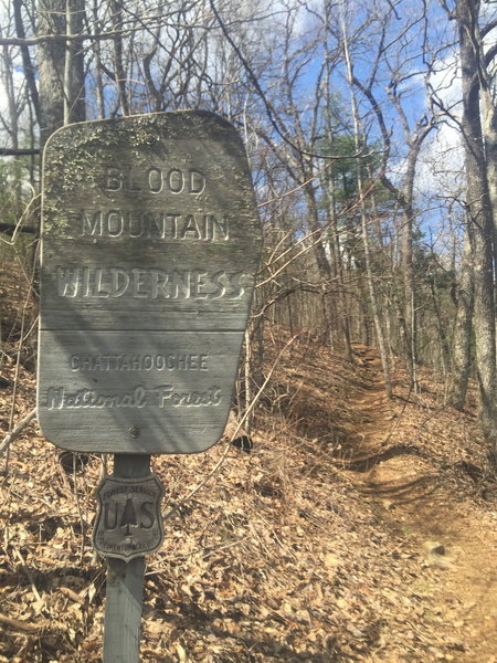 Blood Mountain Wilderness  -  Georgia AT