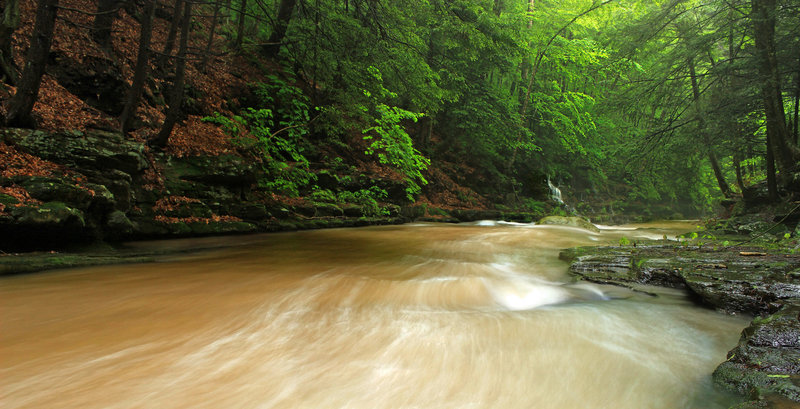 Upper Rock Run Gorge