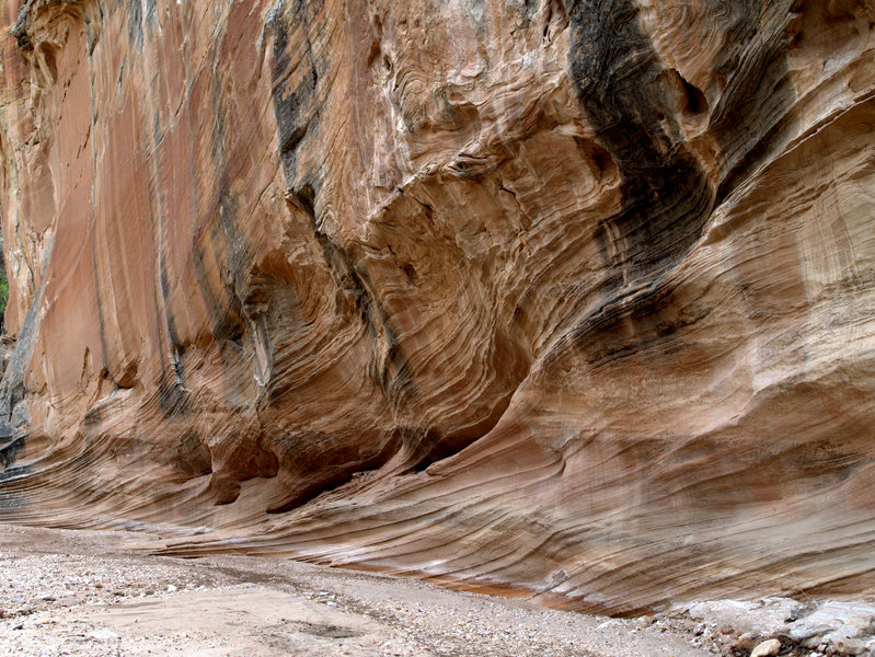 Erosion along Sheep Creek