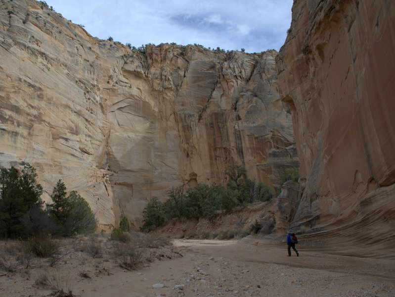 High cliffs along Sheep Creek