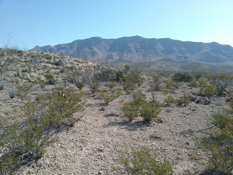 Looking east from the trail