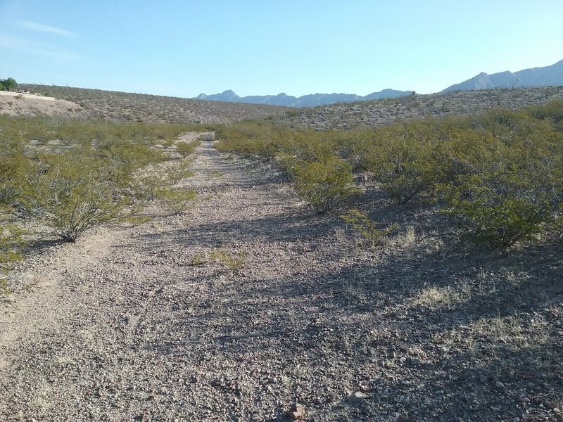 Looking east from the trail