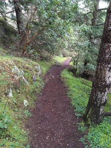 The trail winding down the hill.